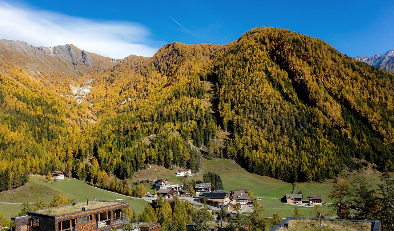 urlaub auf dem bauernhof